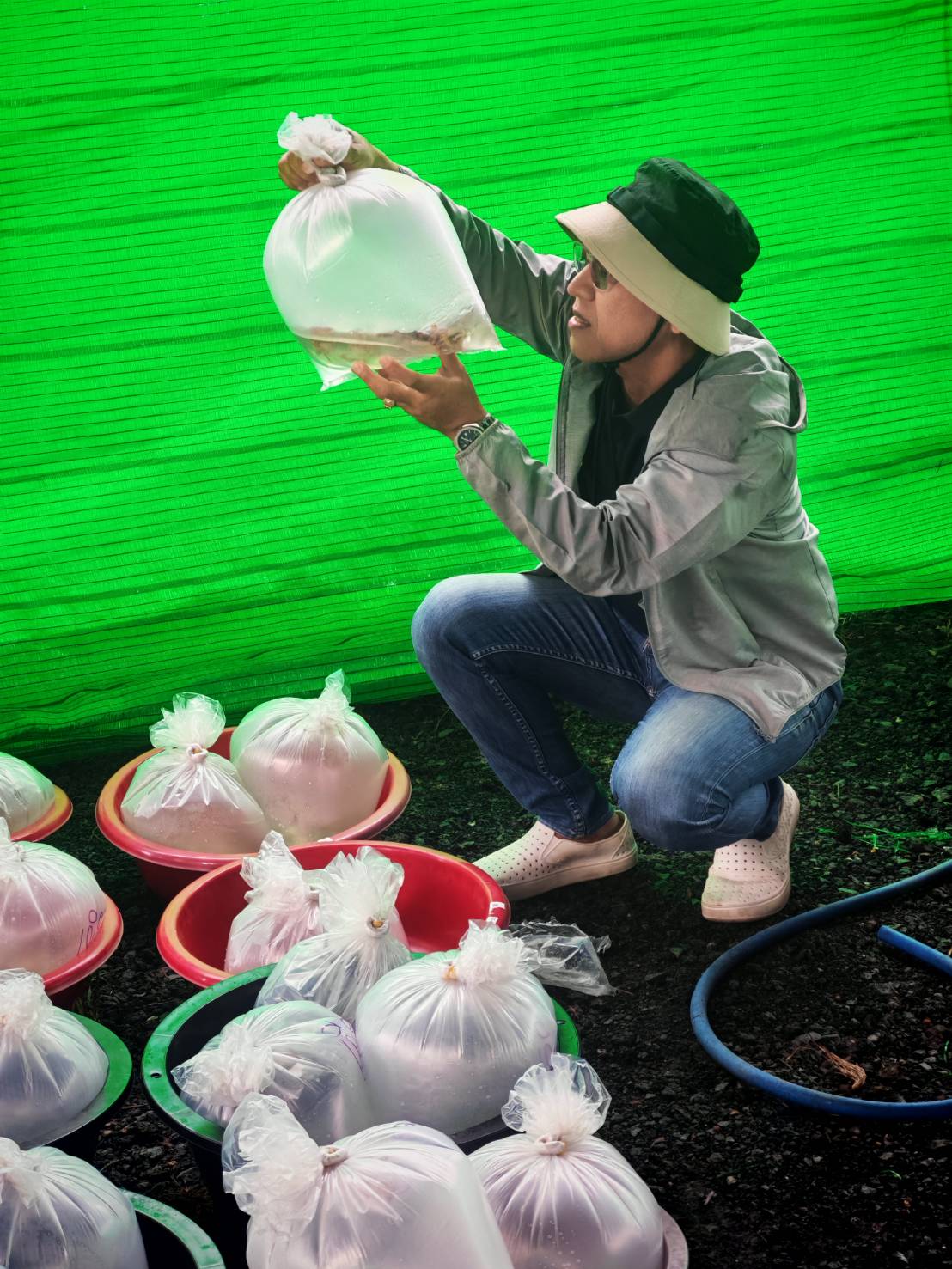 รูปแนบ